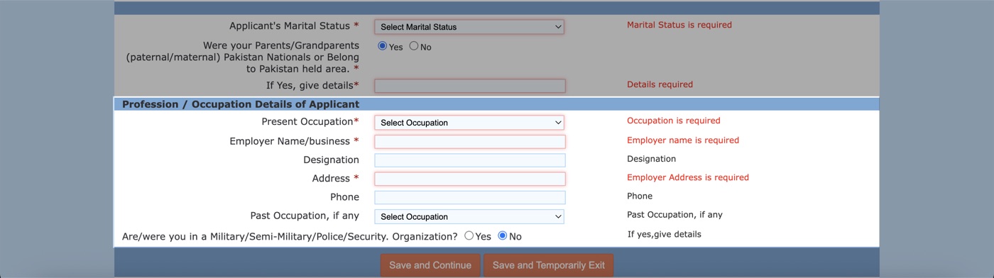 Red 'Employer name is required' and 'Employer Address is required' errors when the occupation fields are left blank